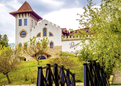 Vinhos da Moldávia: A Riqueza do Terroir e a Excelência da Purcari