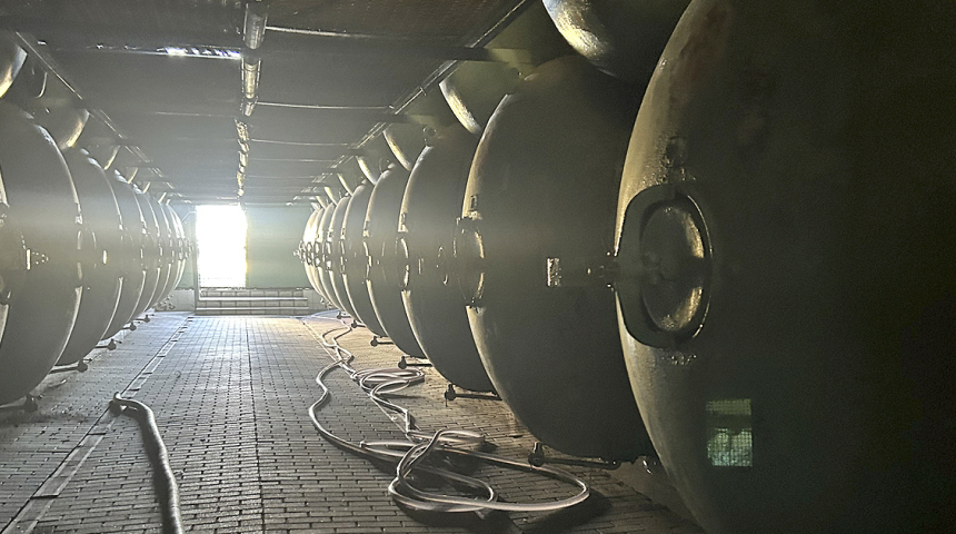 Tomai: Tradição, Inovação e Vinhos Surpreendentes da Moldávia